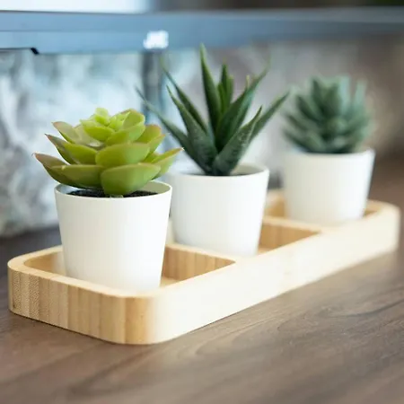 Ivory Seafront With Views!- Fl 15 By Homely 圣保罗湾城