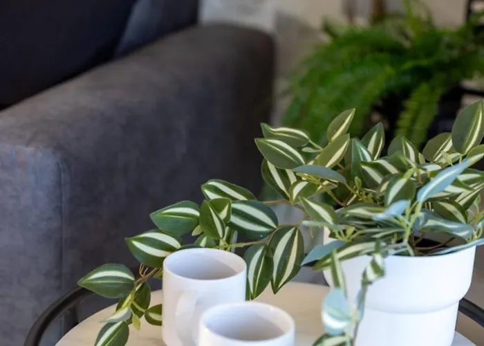 Ivory Seafront With Views!- Fl 15 By Homely Appartement